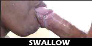 SWALLOW